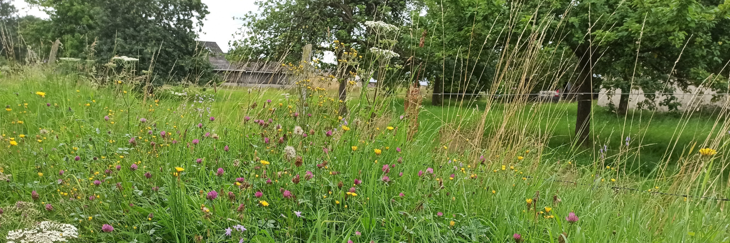 SAINTE MARGUERITE SUR DUCLAIR