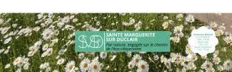 Tout savoir sur votre commune...