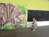 Fresque participative