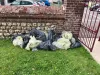 Ensemble pour une commune plus propre