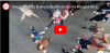 Vidéo drone Sainte-Marguerite